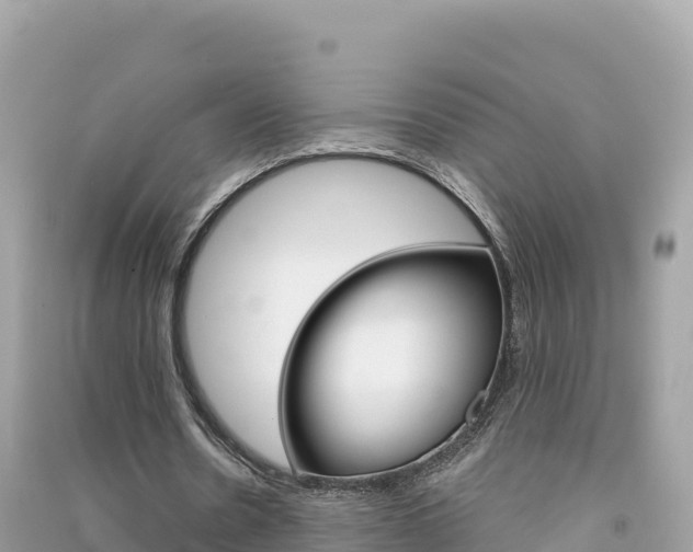 X0000091310530200708101110