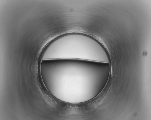 X0000091310531200708101110