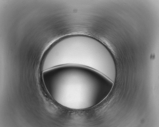 X0000091310532200708101110