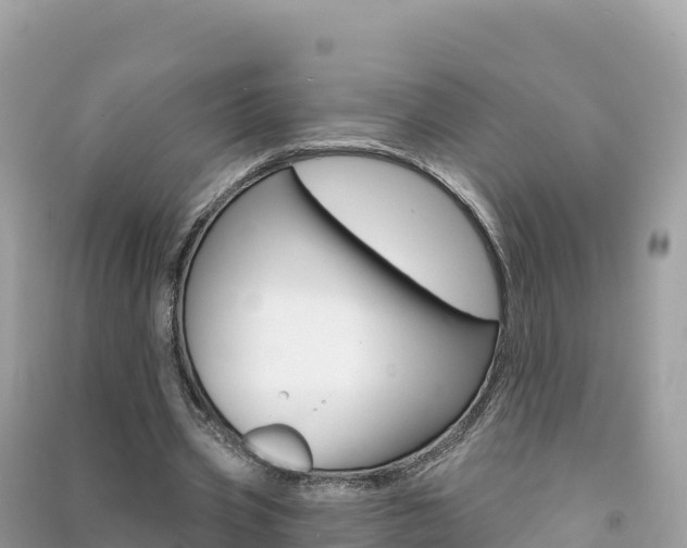 X0000091310533200708101110