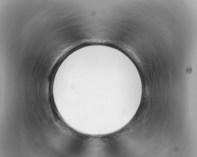 X0000091310534200708101110