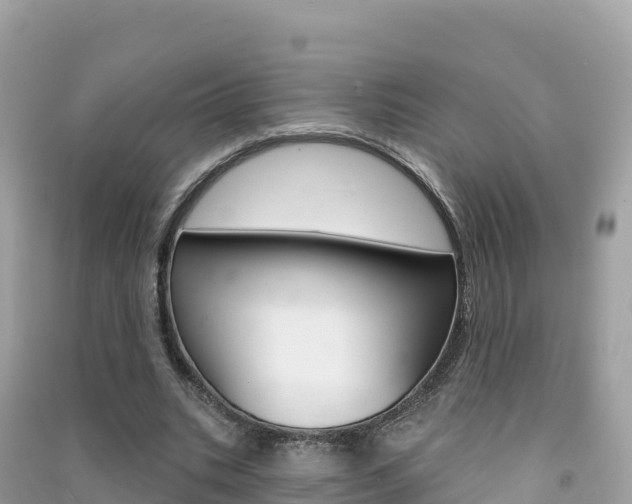 X0000091310535200708101110