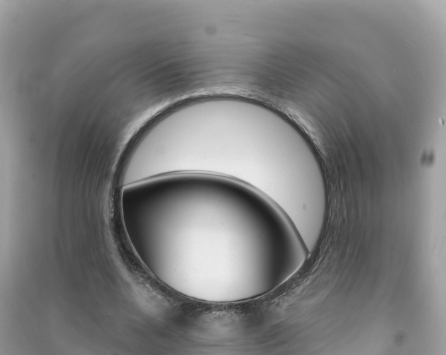 X0000091310536200708101110