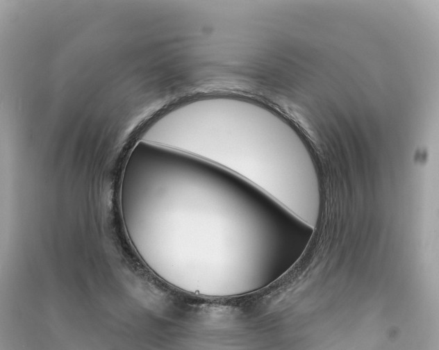 X0000091310539200708101110