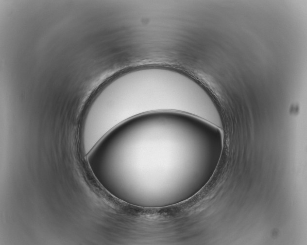 X0000091310540200708101110