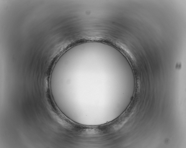 X0000091310541200708101110