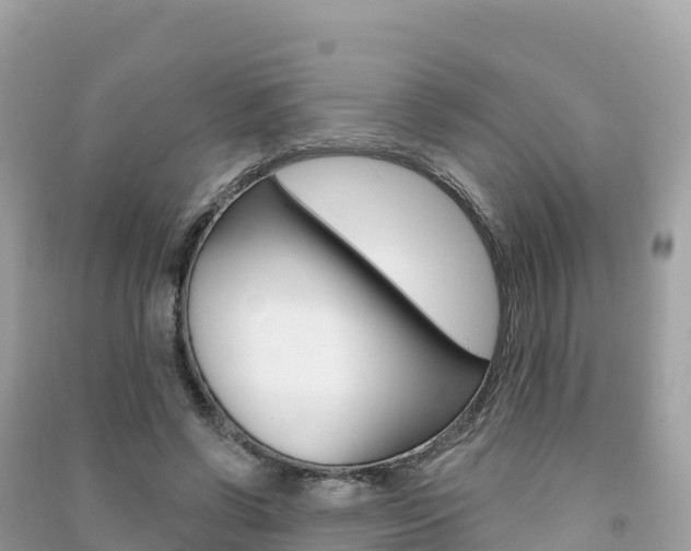 X0000091310542200708101110