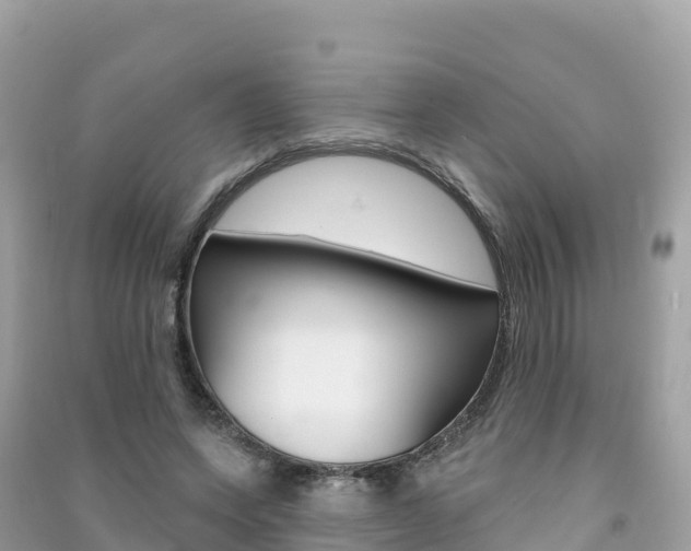 X0000091310543200708101110