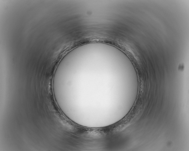 X0000091310545200708101111