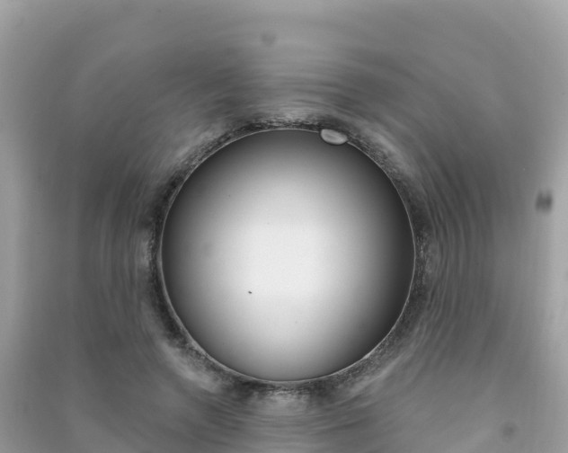 X0000091310546200708101111