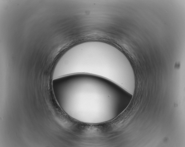 X0000091310547200708101111