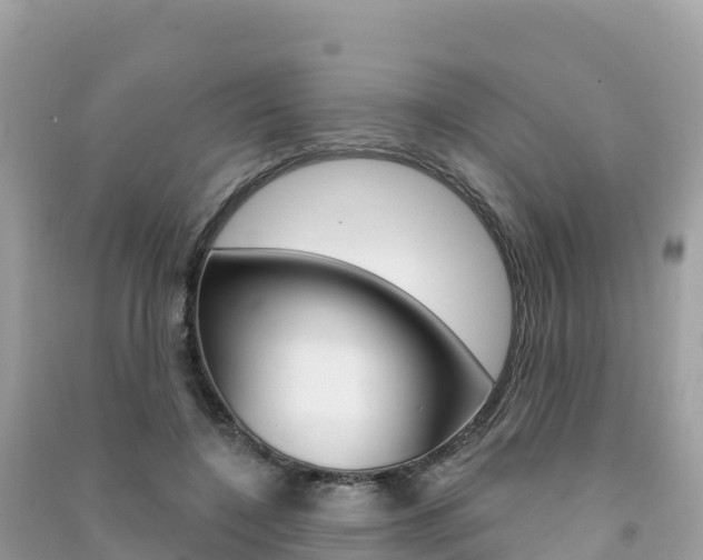 X0000091310548200708101111