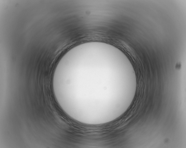 X0000091310552200708101111