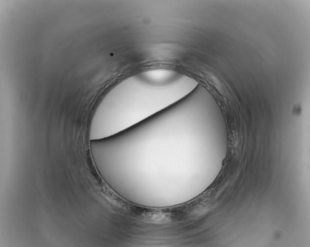 X0000091310553200708101111