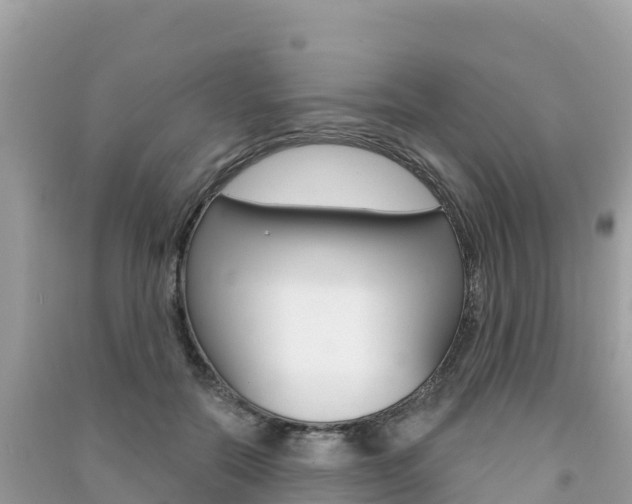 X0000091310554200708101111