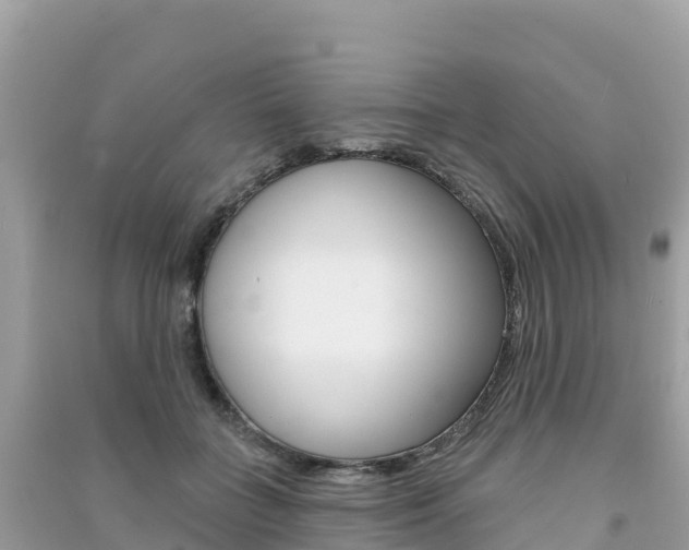 X0000091310555200708101111