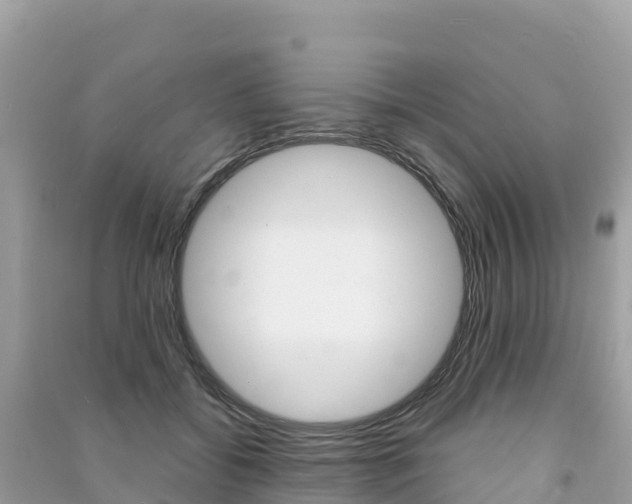 X0000091310556200708101111