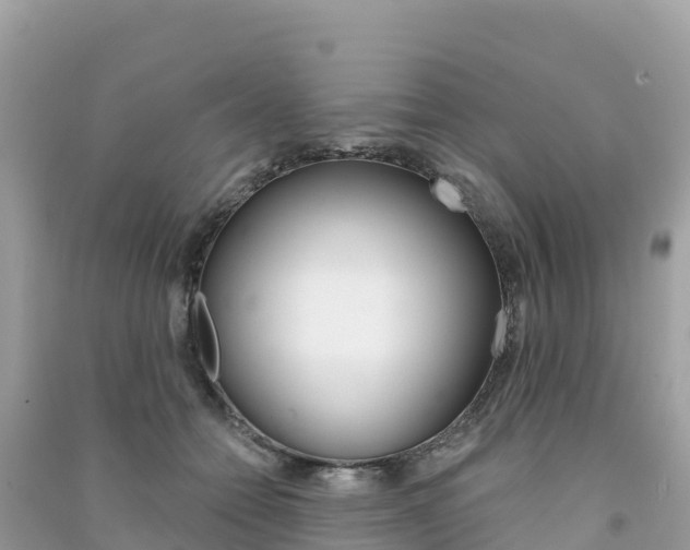 X0000091310558200708101111