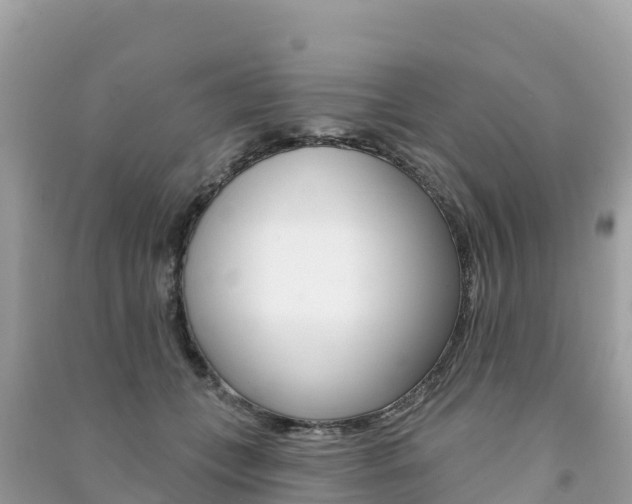 X0000091310559200708101111