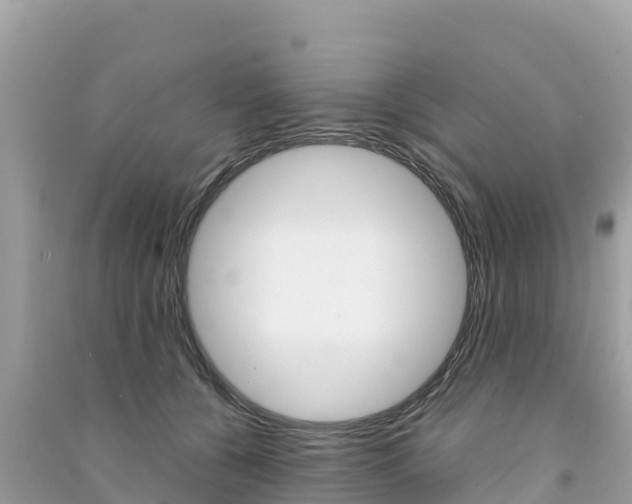 X0000091310560200708101111