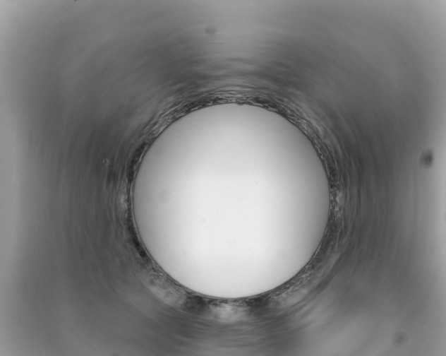 X0000091310561200708101111