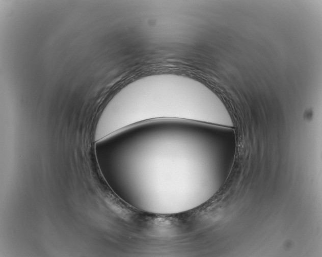 X0000091310566200708101111