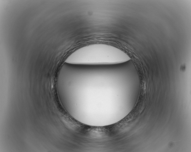 X0000091310567200708101111