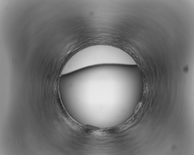 X0000091310568200708101111