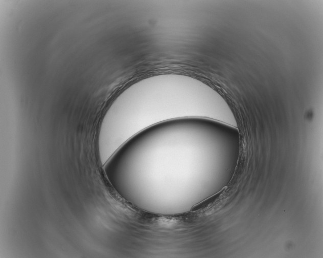 X0000091310570200708101111