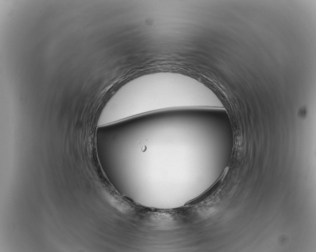 X0000091310572200708101111