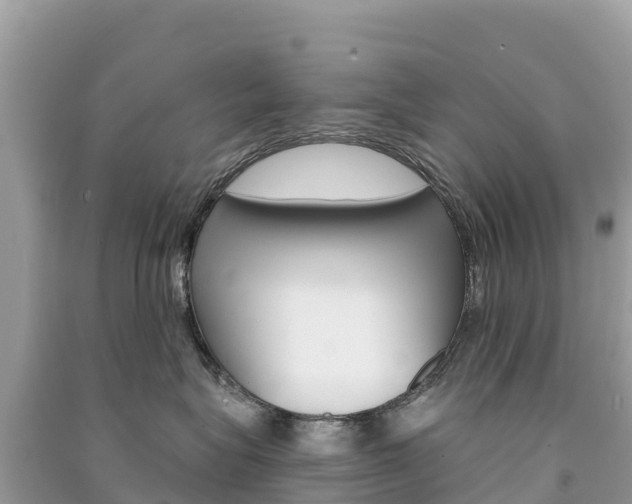 X0000091310575200708101111