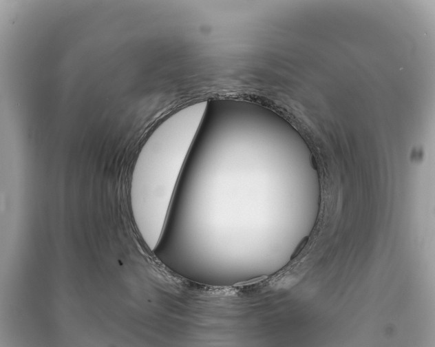 X0000091310576200708101111