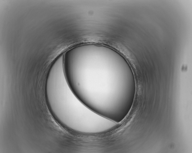 X0000091310577200708101110