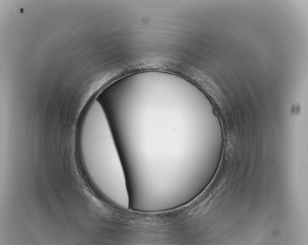 X0000091310578200708101110