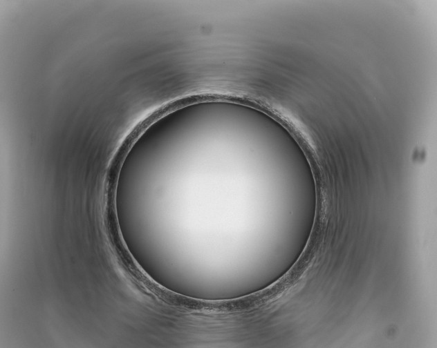 X0000091310580200708101110