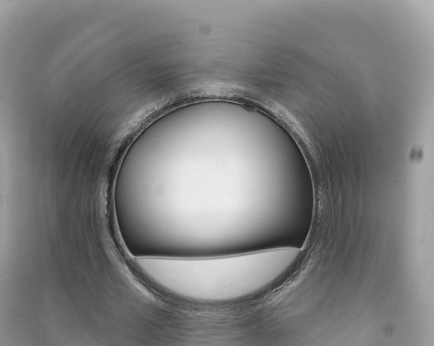 X0000091310581200708101110
