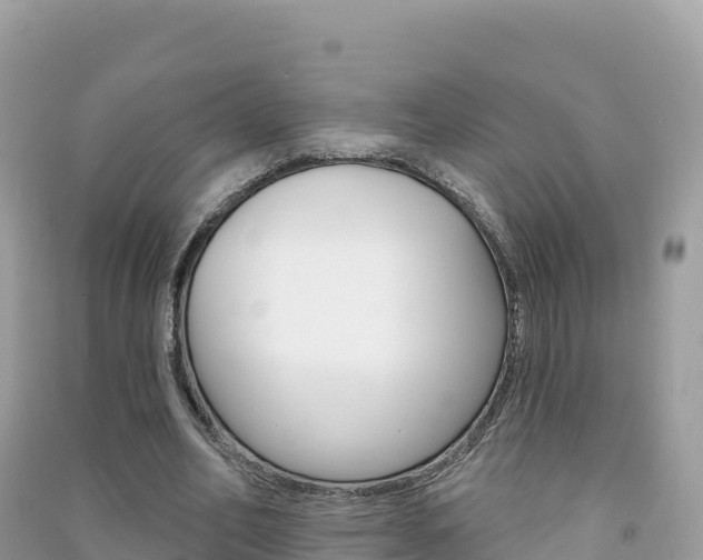 X0000091310582200708101110