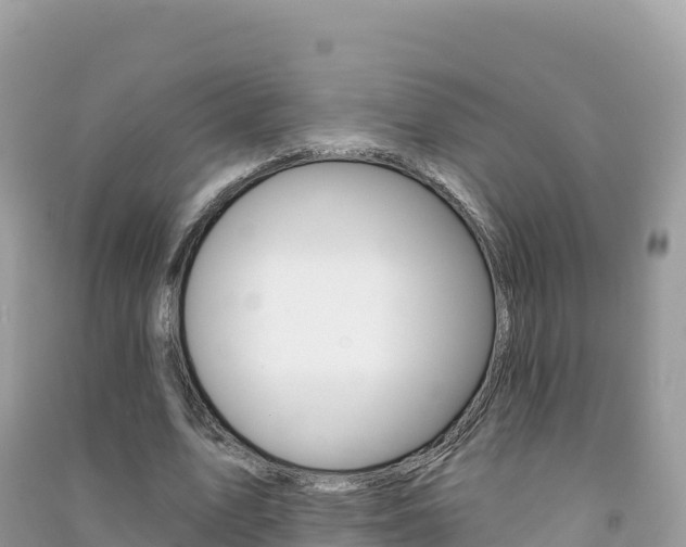 X0000091310583200708101110