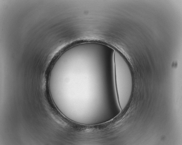 X0000091310584200708101110
