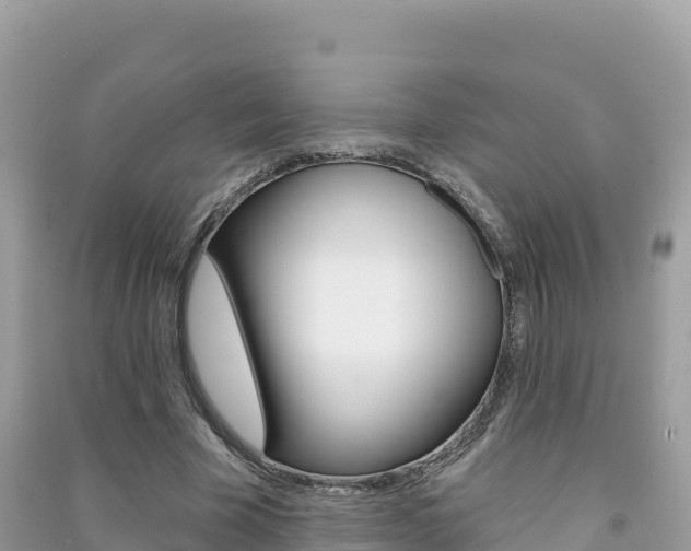 X0000091310585200708101110