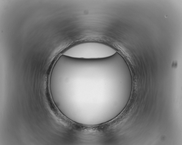 X0000091310586200708101110
