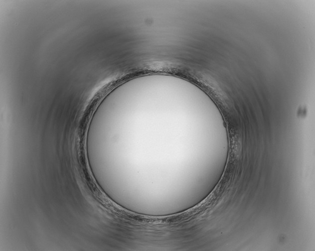 X0000091310587200708101110