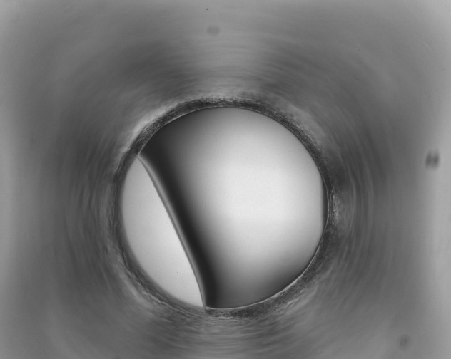 X0000091310588200708101110