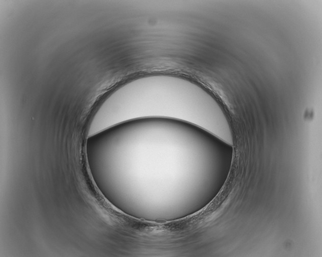 X0000091310589200708101110