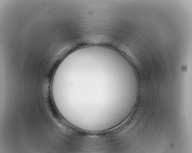 X0000091310590200708101110