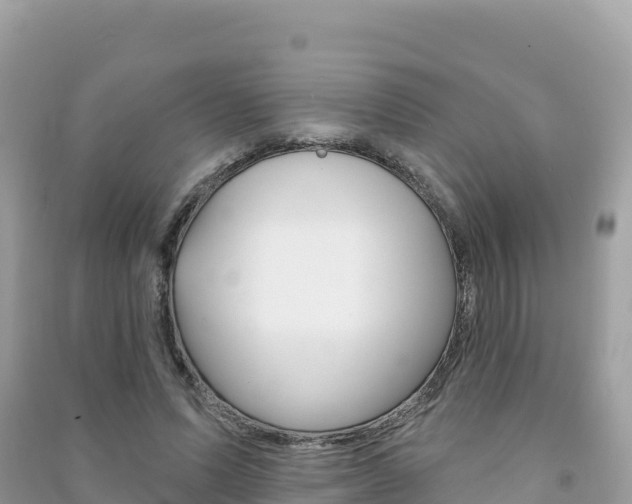 X0000091310591200708101110