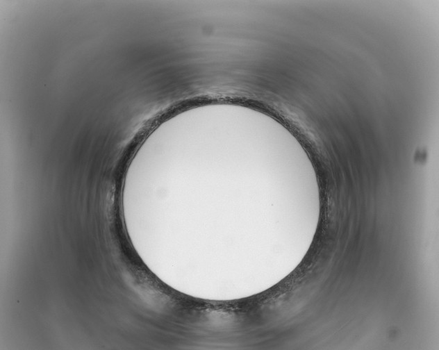 X0000091310592200708101110