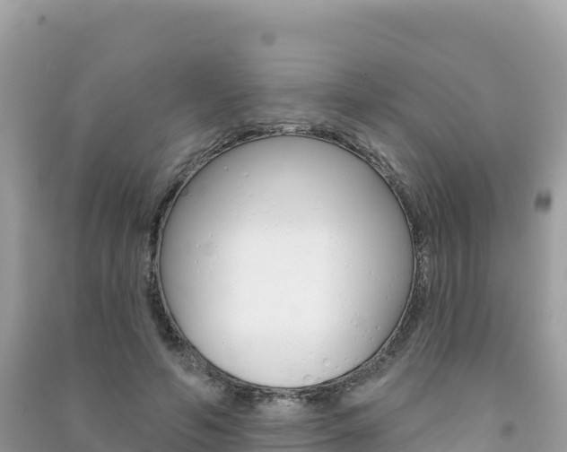 X0000091310594200708101110