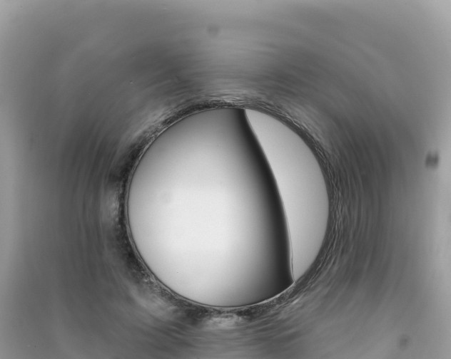 X0000091310595200708101110