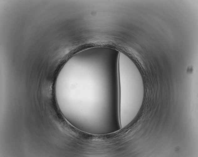 X0000091310596200708101110